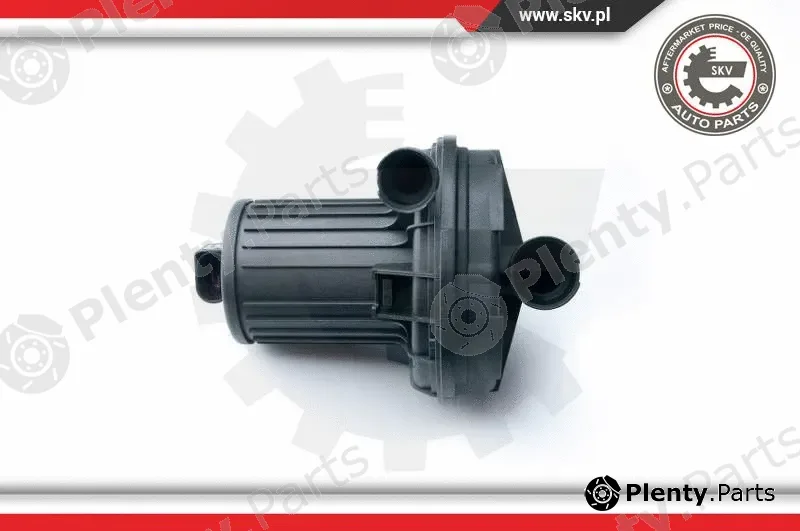 Esen SKV 96SKV200 — Secondary Air Pump