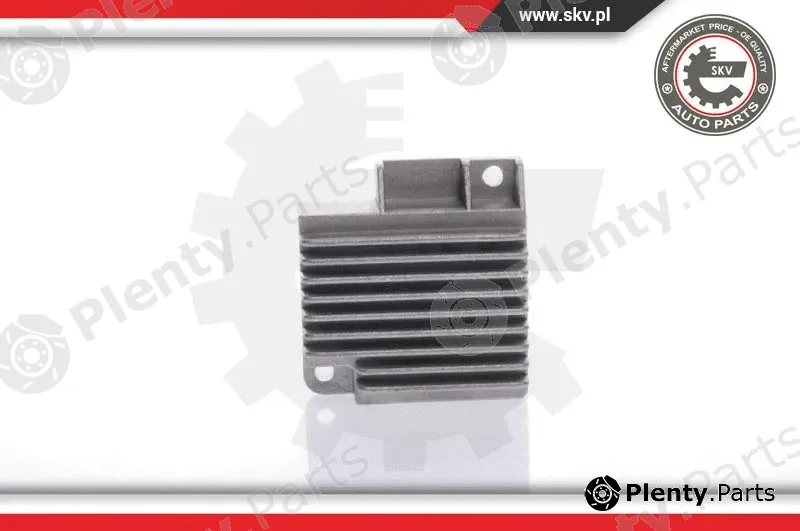 Esen SKV 03SKV900 — Ignition Coil