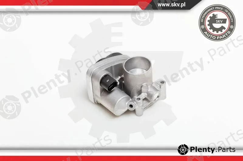 Esen SKV 12SKV030 — Throttle Body