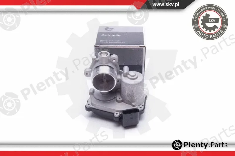 Esen SKV 14SKV232 — EGR Valve