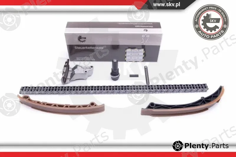 Esen SKV 21SKV129 — Timing Chain Kit
