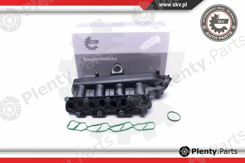 Esen SKV 49SKV038 — Intake Manifold Module