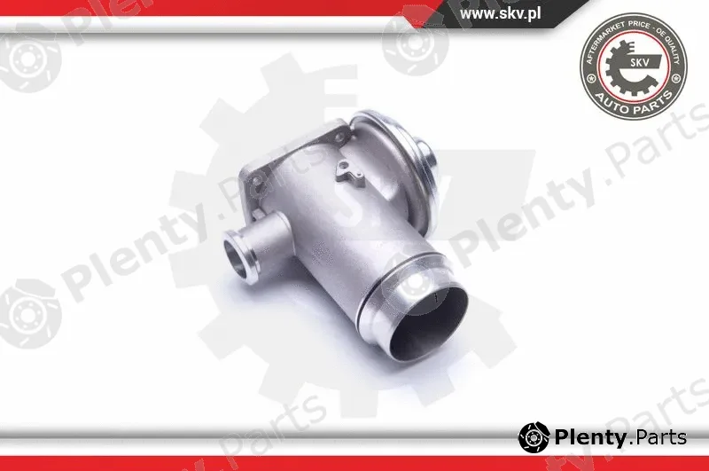 Esen SKV 14SKV175 — EGR Valve