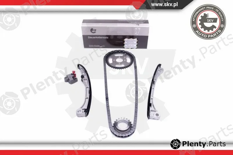 Esen SKV 21SKV149 — Timing Chain Kit