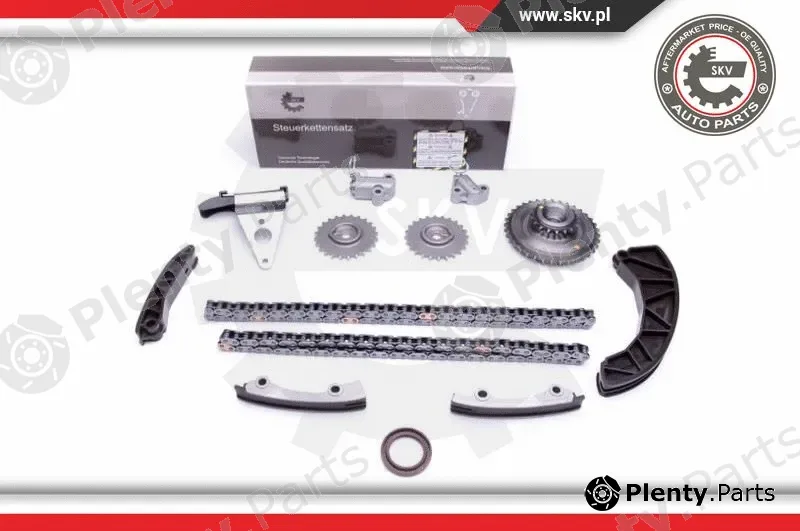Esen SKV 21SKV225 — Timing Chain Kit