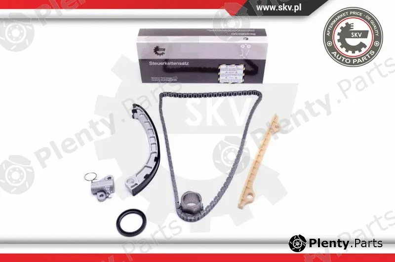 Esen SKV 21SKV217 — Timing Chain Kit