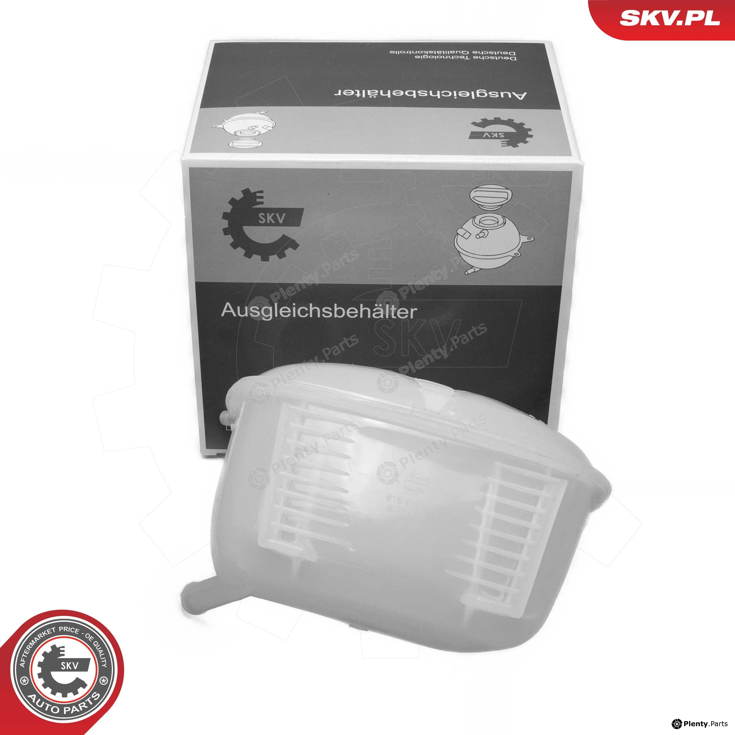 Esen SKV 61SKV313 — Expansion Tank, coolant
