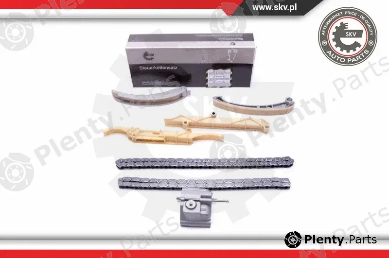 Esen SKV 21SKV138 — Timing Chain Kit