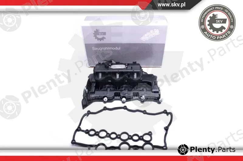 Esen SKV 49SKV031 — Intake Manifold Module