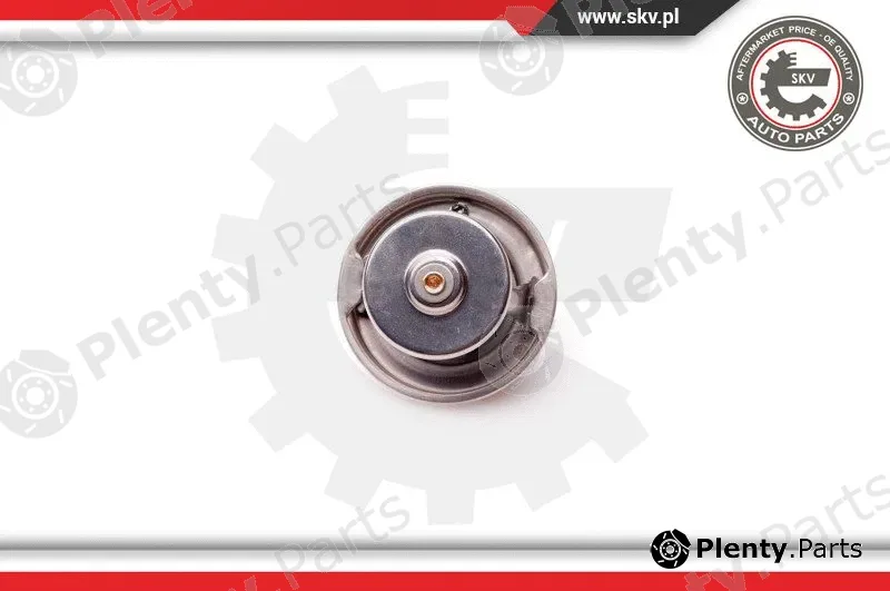 Esen SKV 20SKV048 — Thermostat, coolant