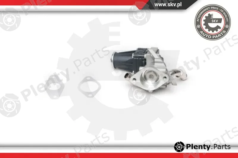 Esen SKV 14SKV100 — EGR Valve
