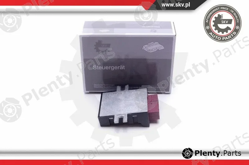 Esen SKV 96SKV211 — Control Unit, fuel pump