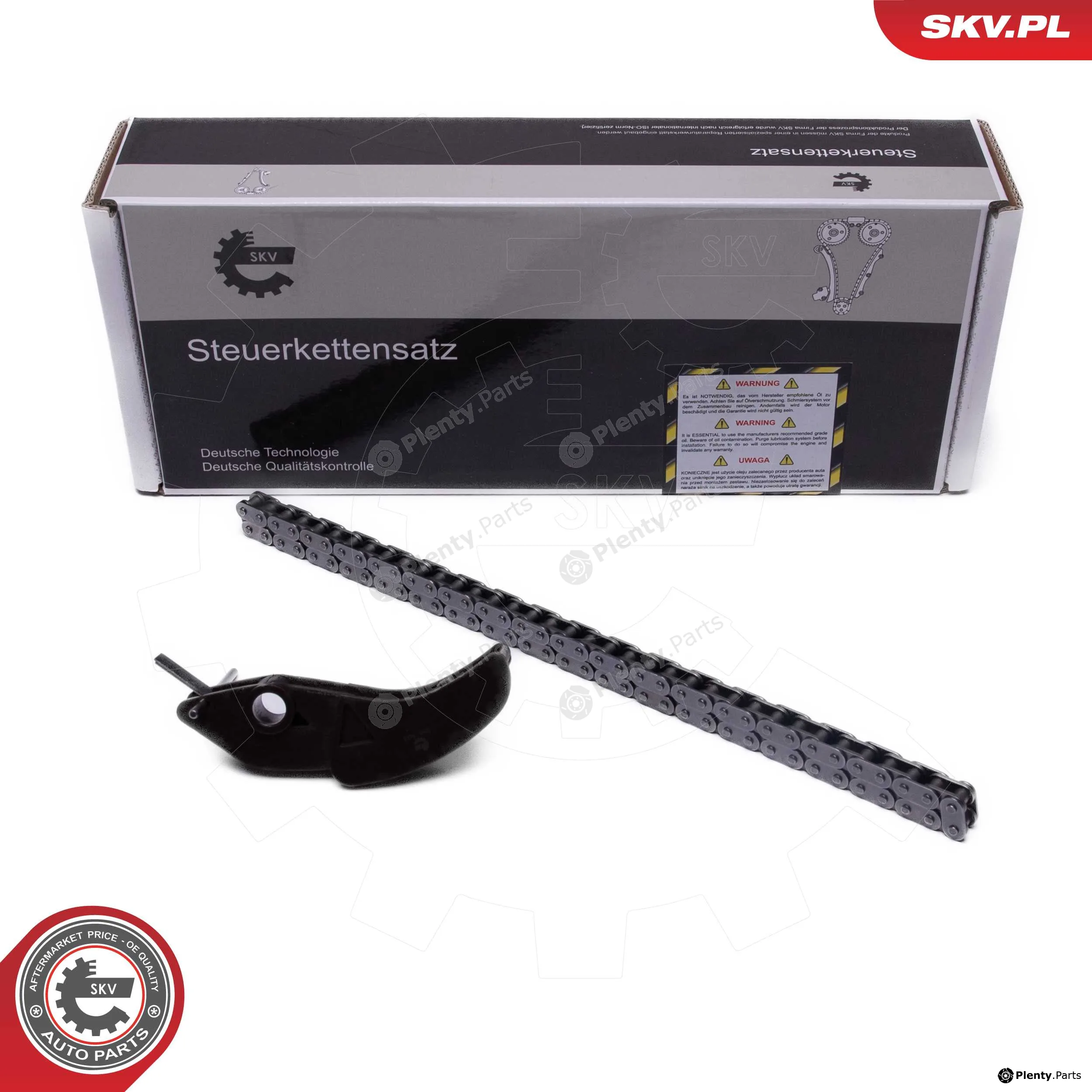 Esen SKV 21SKV252 — Timing Chain Kit