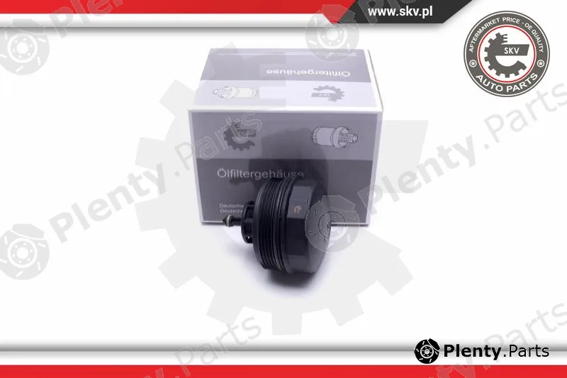 Esen SKV 31SKV183 — Cap, oil filter housing