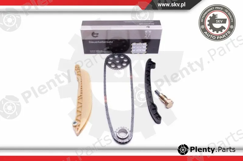 Esen SKV 21SKV213 — Timing Chain Kit