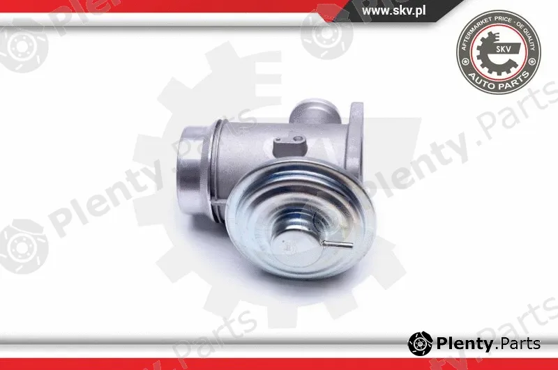 Esen SKV 14SKV176 — EGR Valve