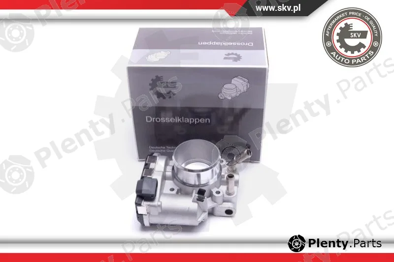 Esen SKV 12SKV117 — Throttle Body