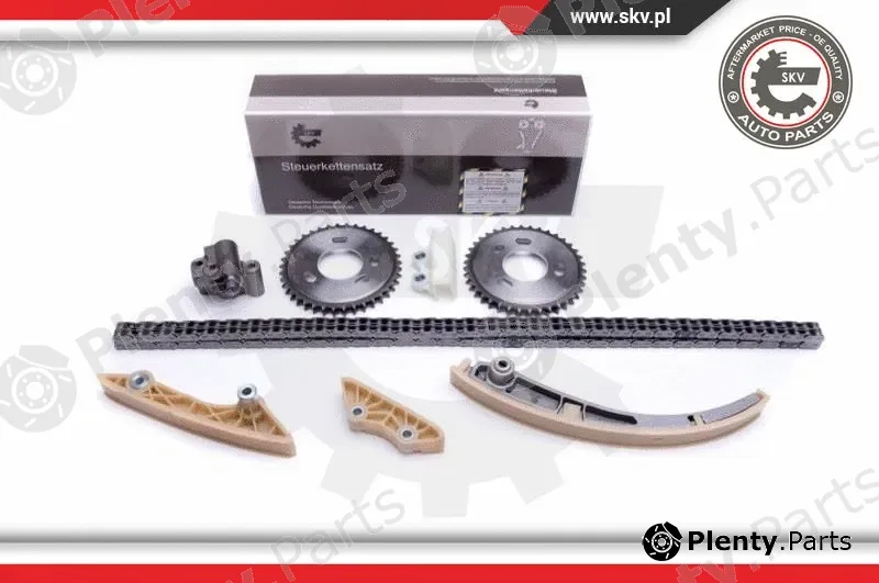 Esen SKV 21SKV245 — Timing Chain Kit