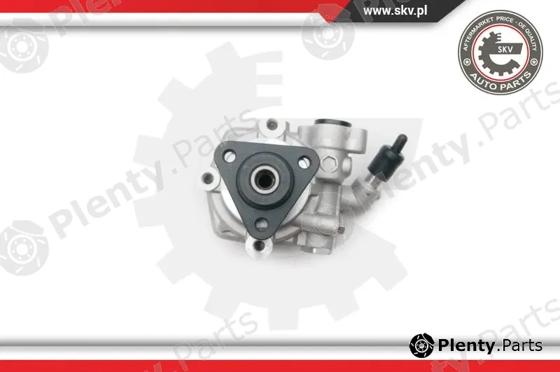 Esen SKV 10SKV193 — Hydraulic Pump, steering