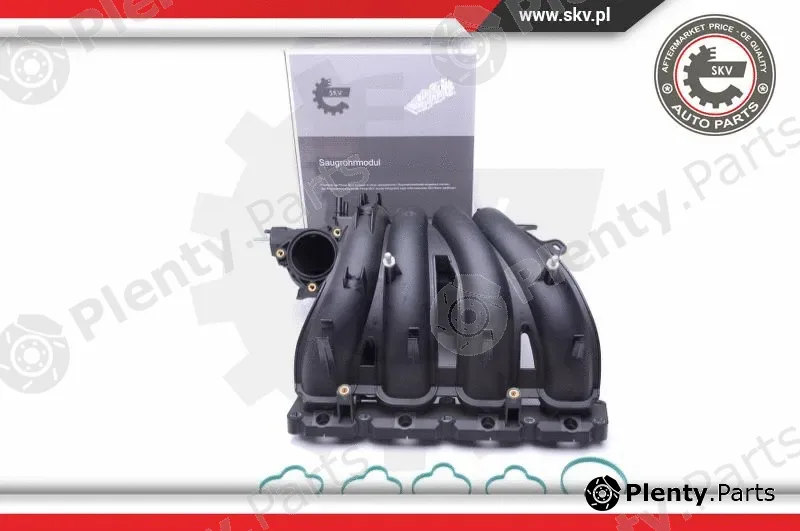 Esen SKV 49SKV043 — Intake Manifold Module