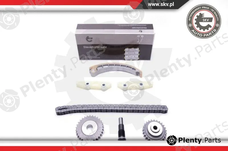Esen SKV 21SKV144 — Timing Chain Kit