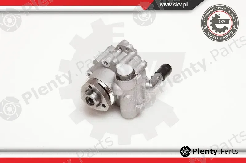 Esen SKV 10SKV110 — Hydraulic Pump, steering