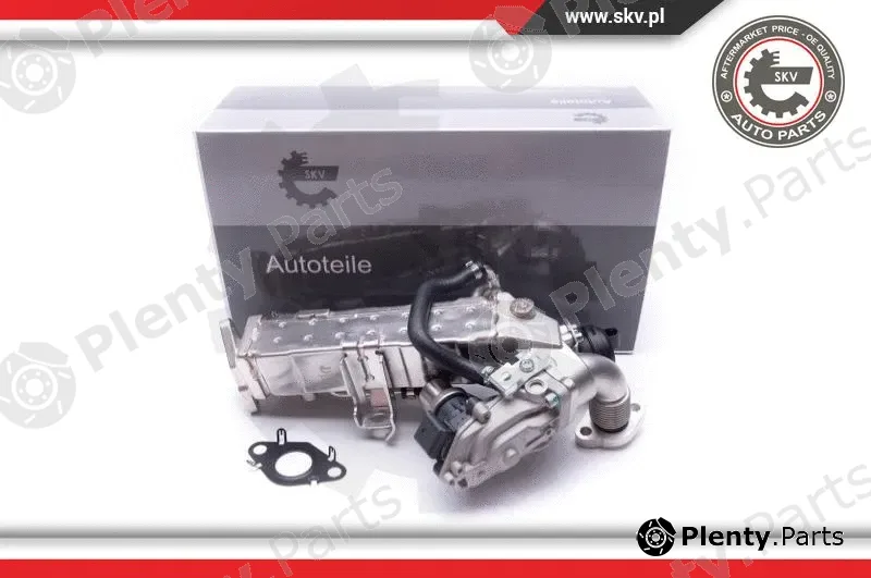 Esen SKV 14SKV235 — EGR Valve