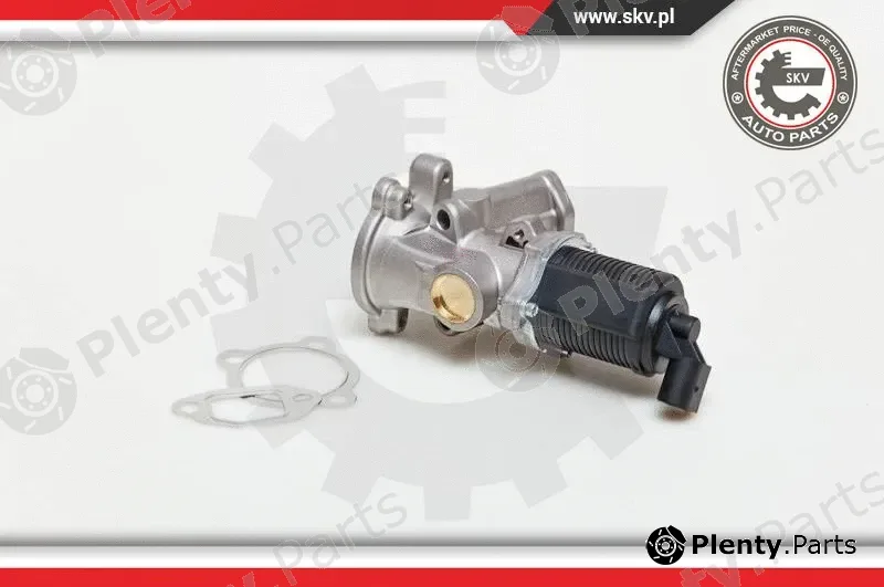 Esen SKV 14SKV039 — EGR Valve