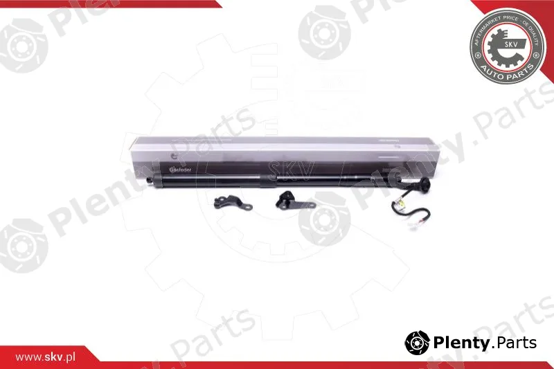 Esen SKV 52SKV916 — Electric Motor, tailgate
