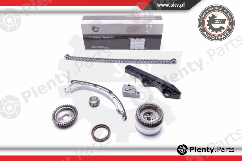 Esen SKV 21SKV206 — Timing Chain Kit
