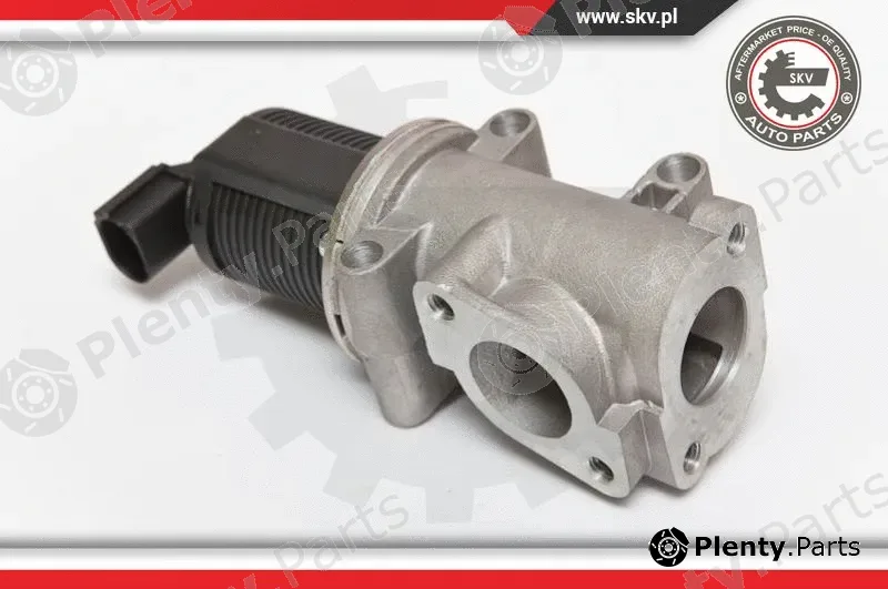 Esen SKV 14SKV055 — EGR Valve