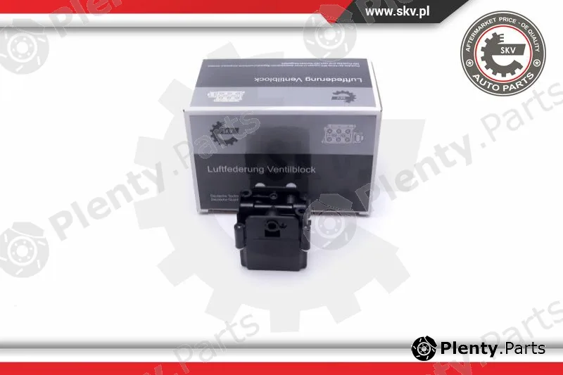 Esen SKV 93SKV814 — Valve, compressed-air system