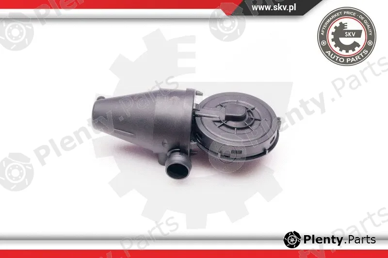 Esen SKV 31SKV038 — Valve, crankcase ventilation