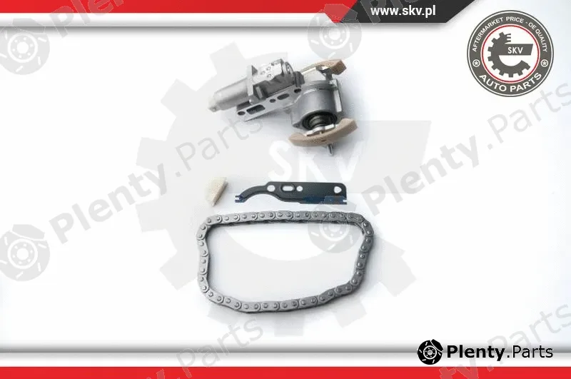 Esen SKV 21SKV030 — Timing Chain Kit