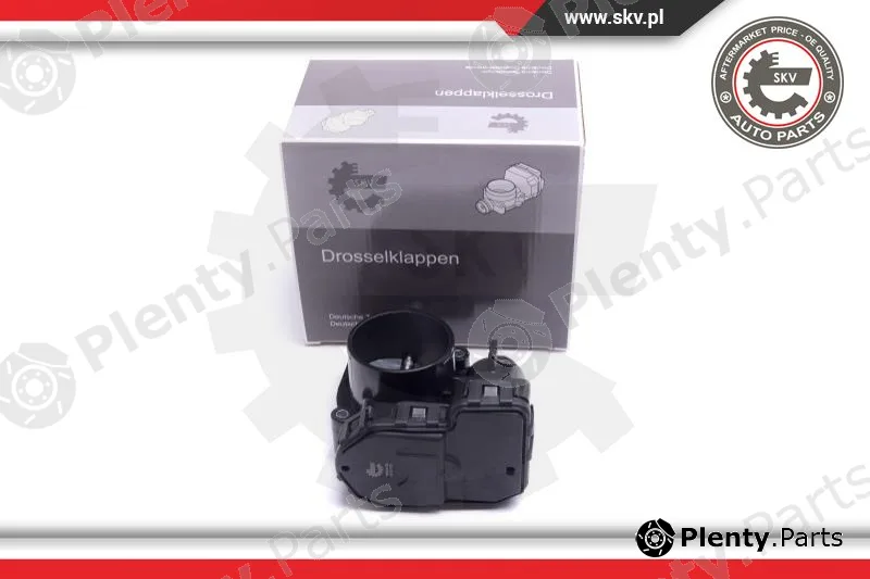 Esen SKV 12SKV120 — Throttle Body
