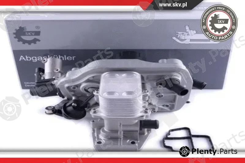 Esen SKV 14SKV237 — EGR Valve