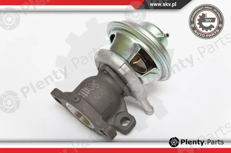 Esen SKV 14SKV062 — EGR Valve