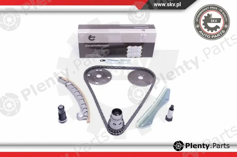 Esen SKV 21SKV141 — Timing Chain Kit