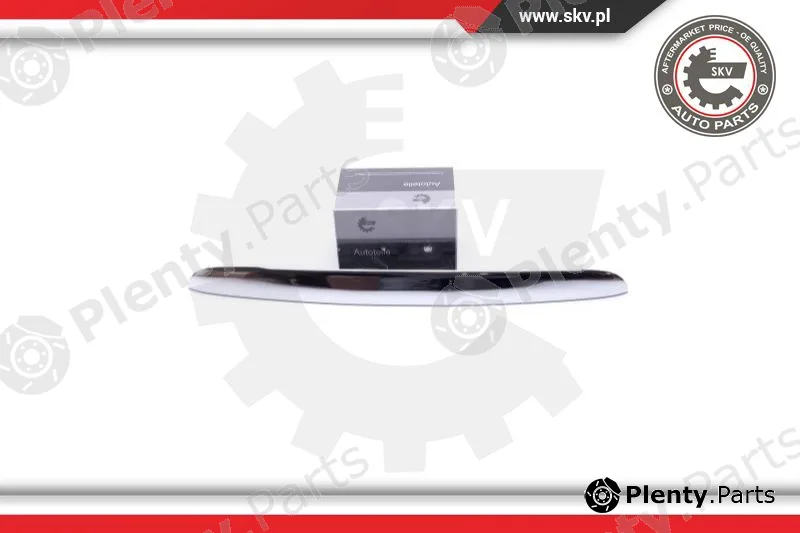 Esen SKV 96SKV924 — Tailgate Handle
