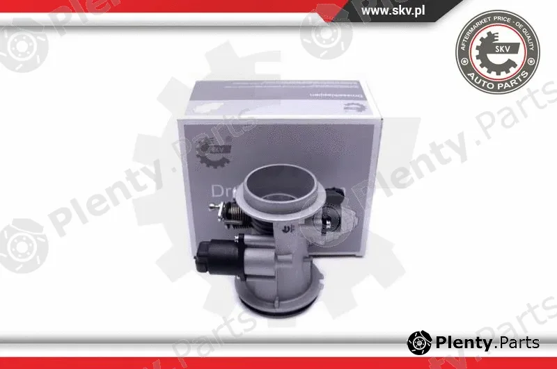 Esen SKV 12SKV101 — Throttle Body