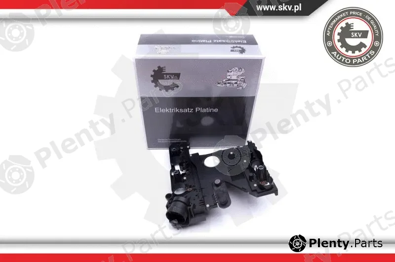 Esen SKV 96SKV074 — Control Unit, automatic transmission