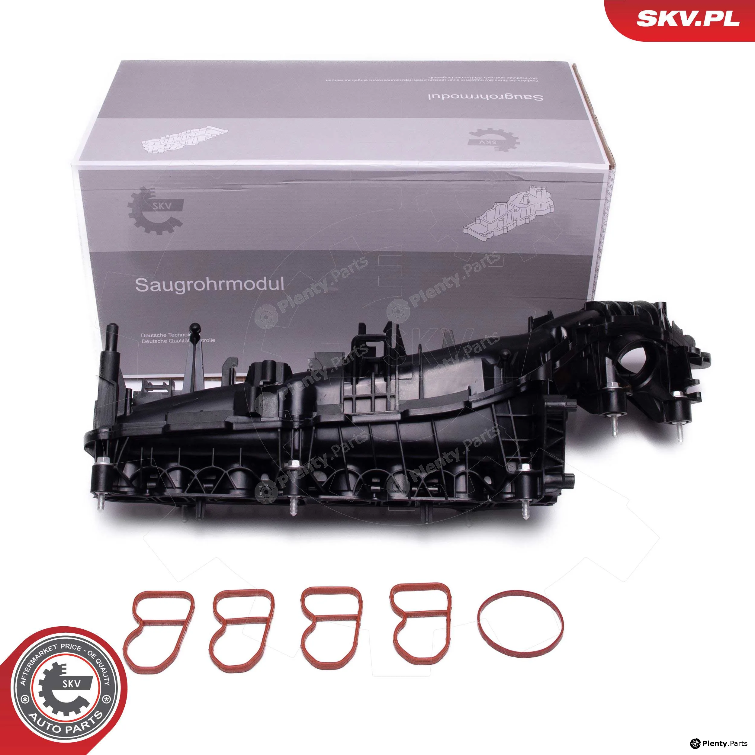 Esen SKV 49SKV078 — Intake Manifold Module