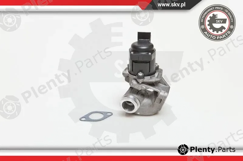 Esen SKV 14SKV028 — EGR Valve