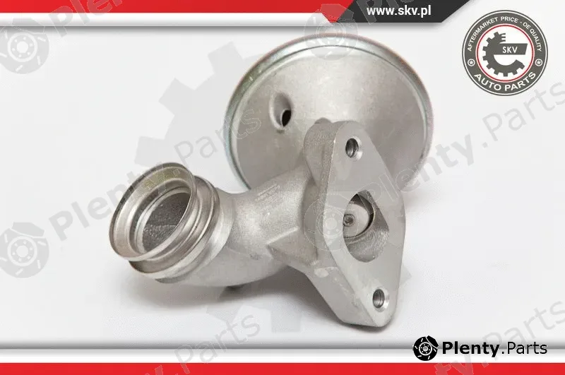 Esen SKV 14SKV075 — EGR Valve