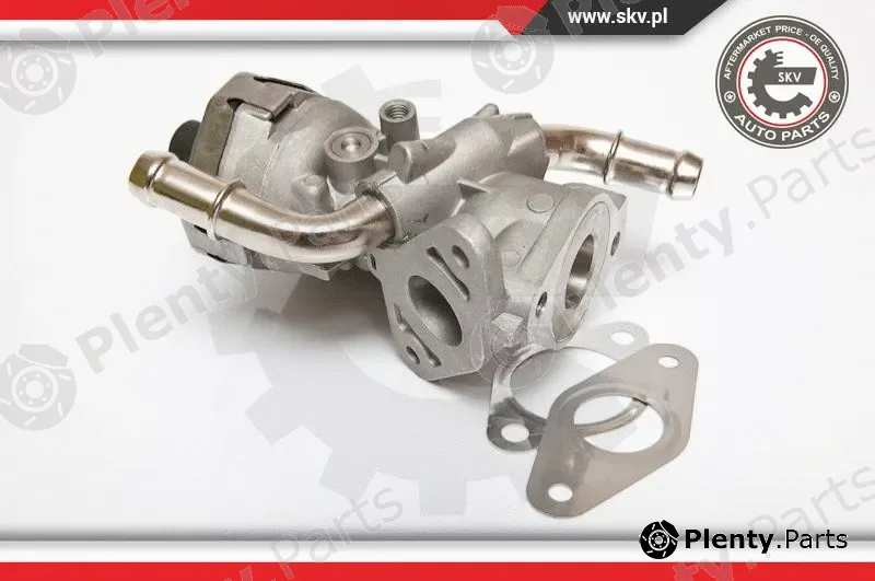 Esen SKV 14SKV044 — EGR Valve