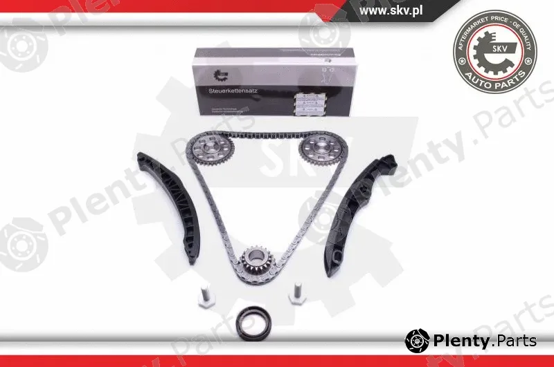 Esen SKV 21SKV233 — Timing Chain Kit