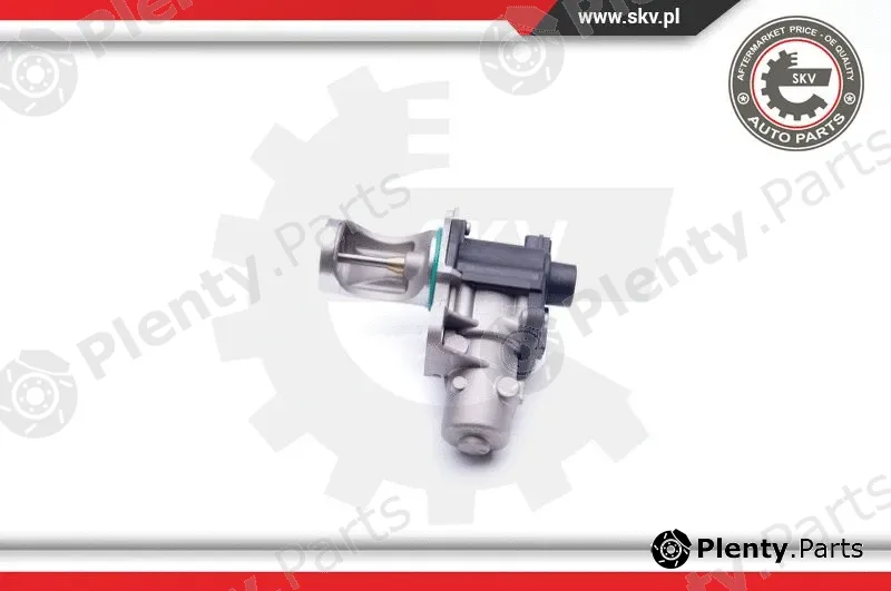 Esen SKV 14SKV172 — EGR Valve