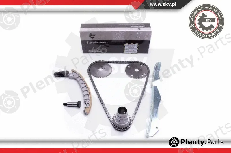 Esen SKV 21SKV142 — Timing Chain Kit