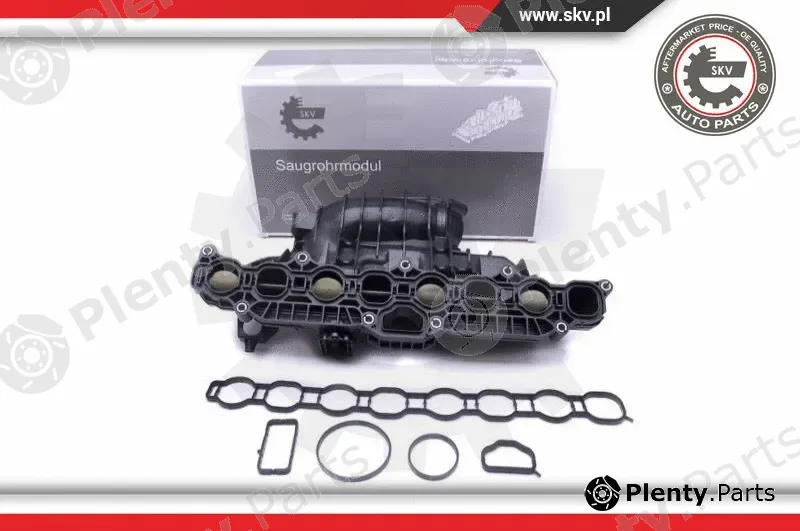 Esen SKV 49SKV030 — Intake Manifold Module