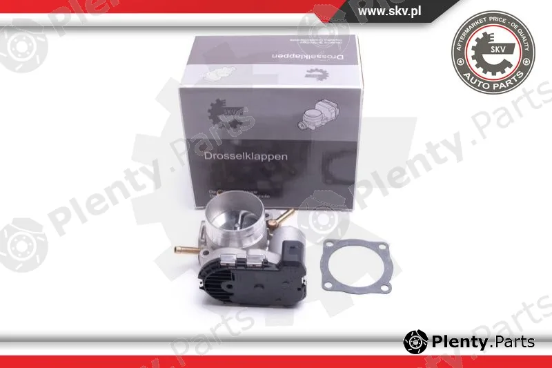 Esen SKV 12SKV114 — Throttle Body